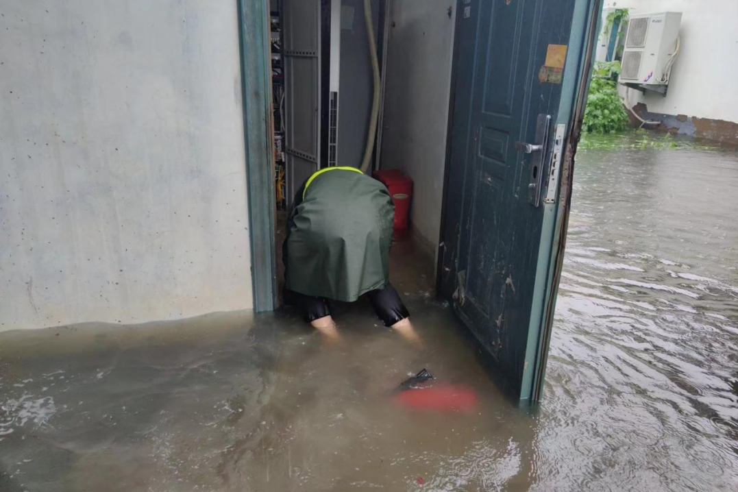 1737709593887883.png 1737709593887883.png